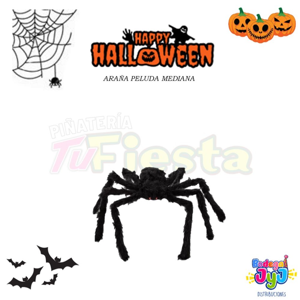 ARAÑA PELUDA MEDIANA